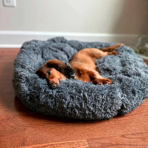 Dog sleeping in dark gray calming donut bed