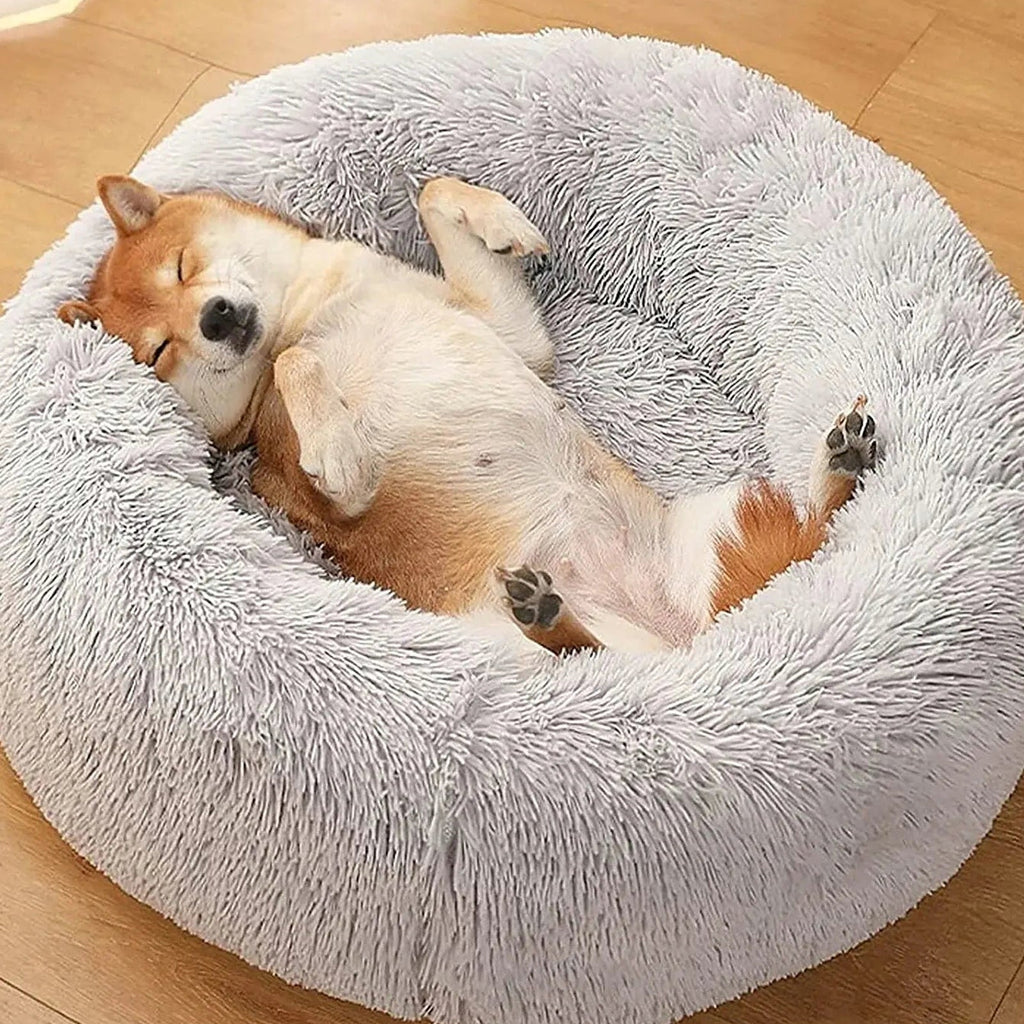 Dog sleeping in light gray calming donut bed