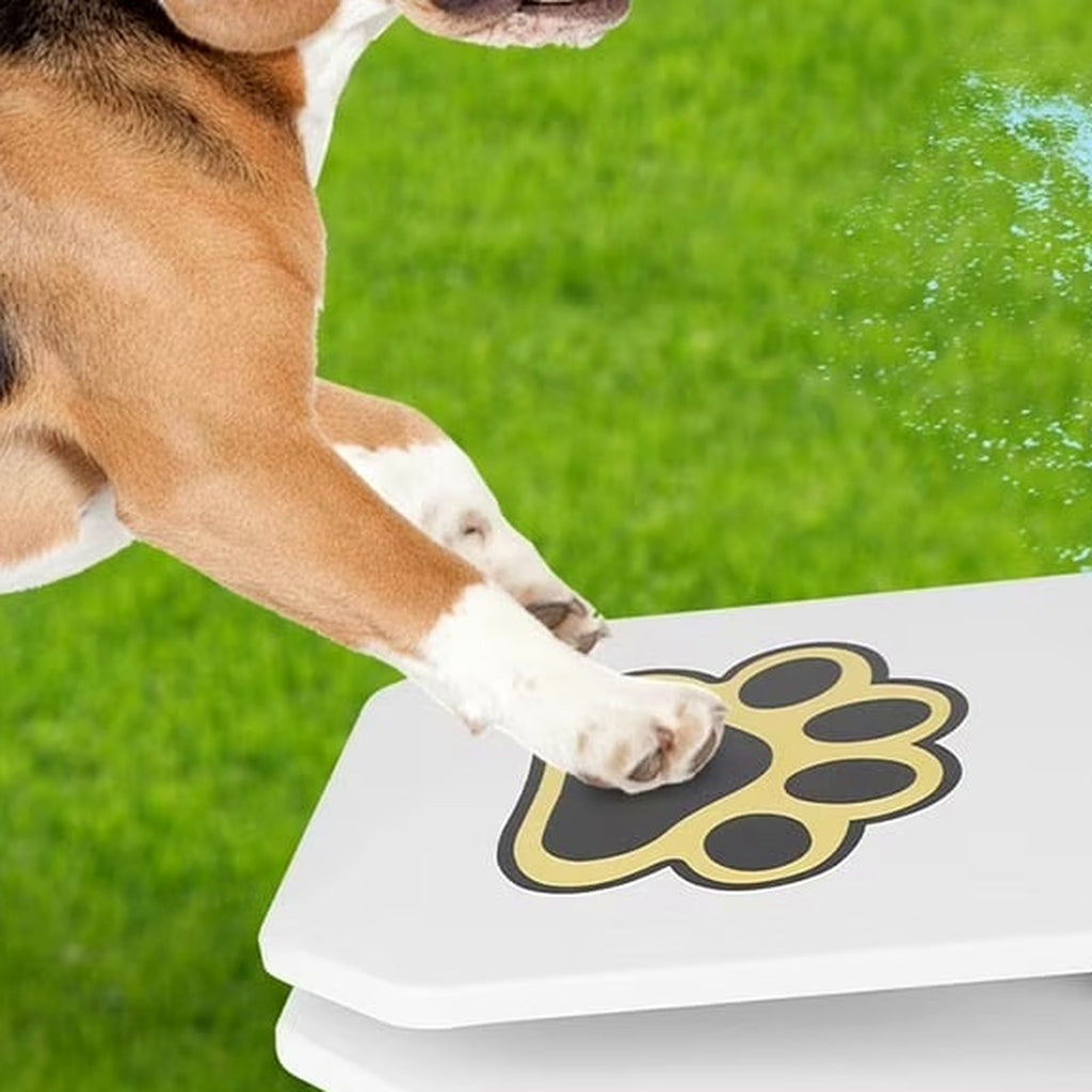 Dog stepping on paw-activated outdoor water fountain