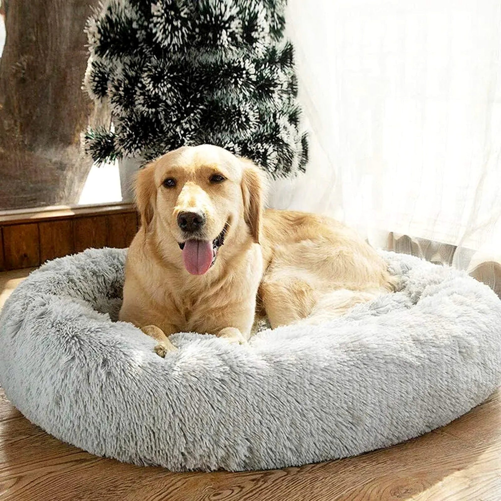 Golden dog resting in light gray calming donut bed