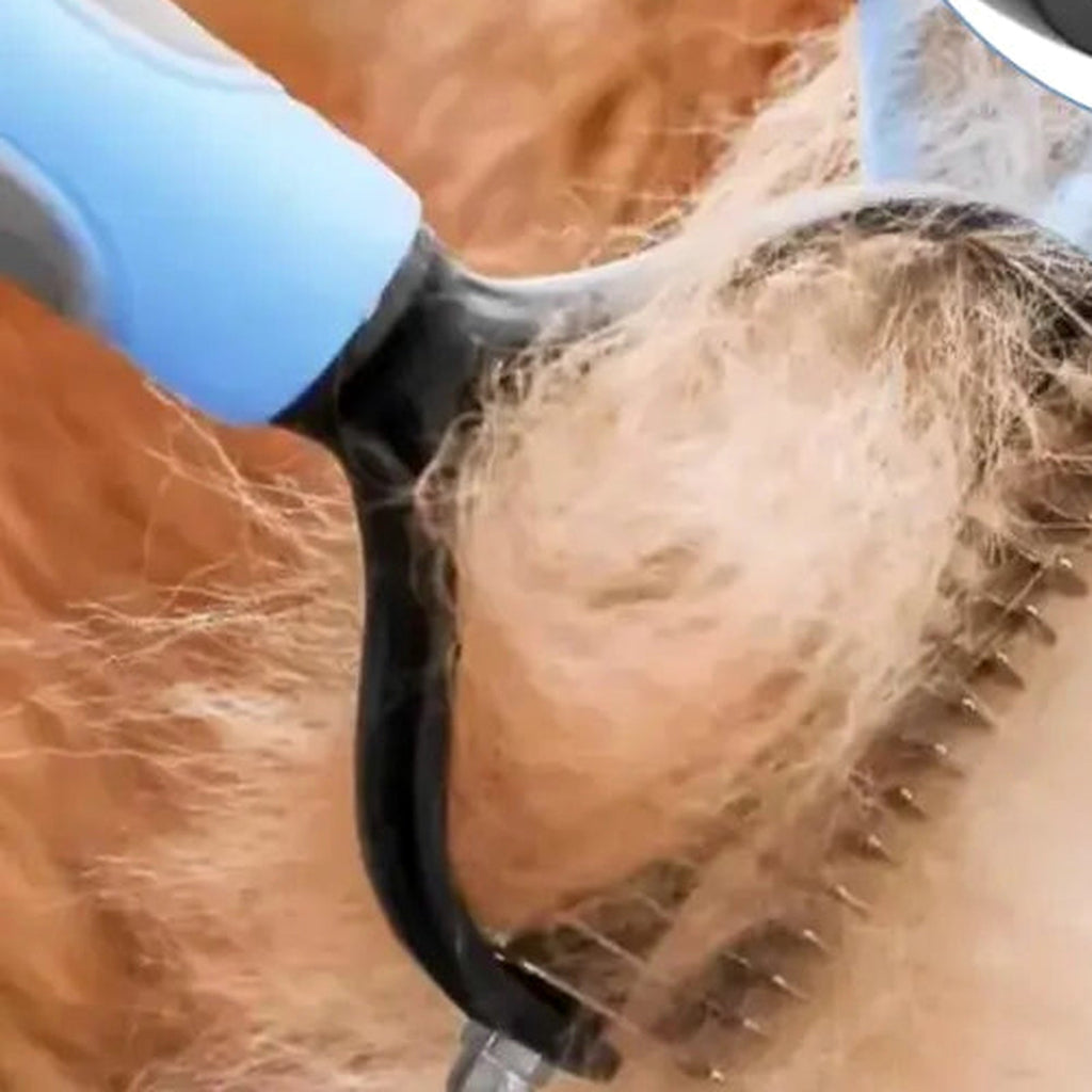 Deshedding rake removing loose fur from a dog coat