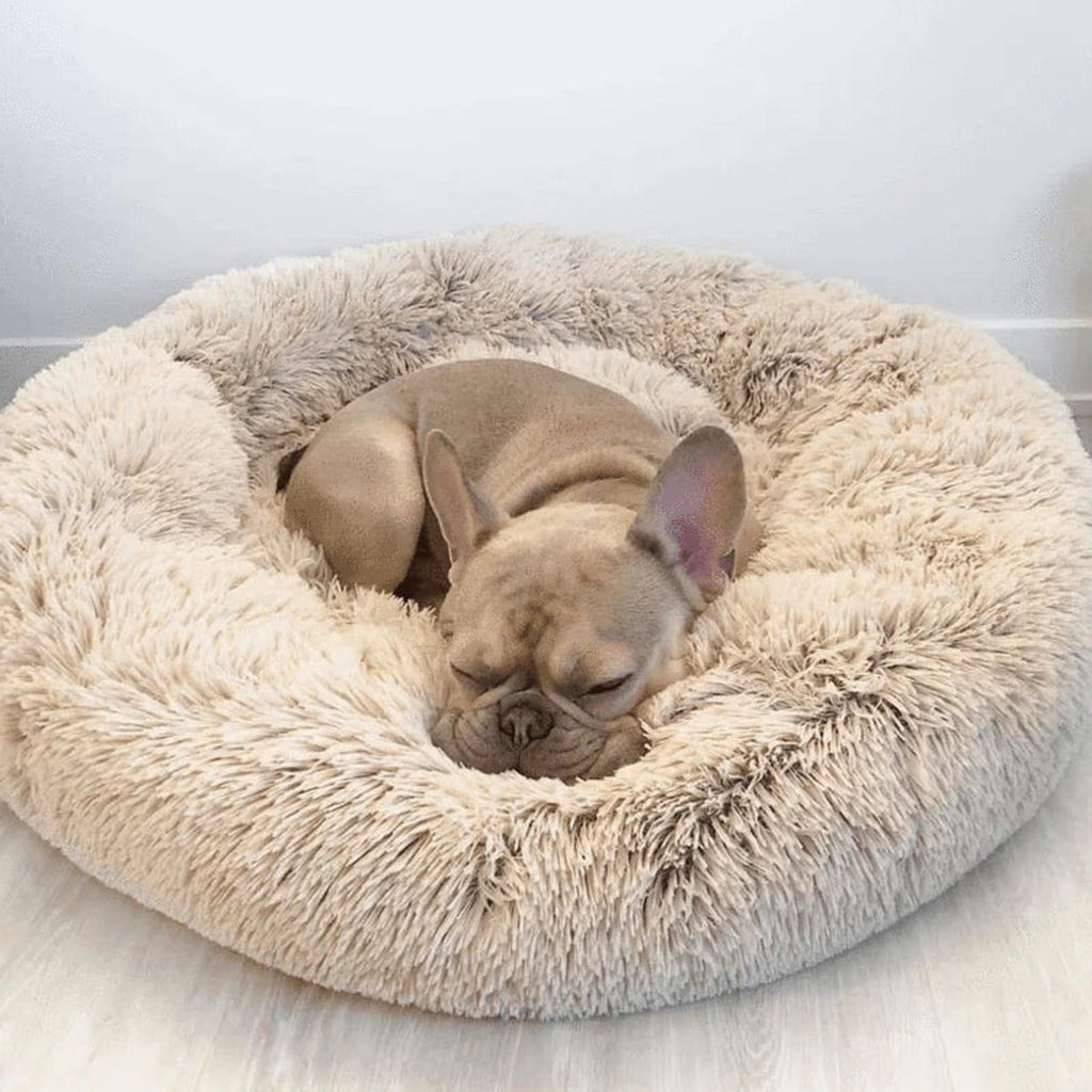 Small dog sleeping in khaki calming donut bed