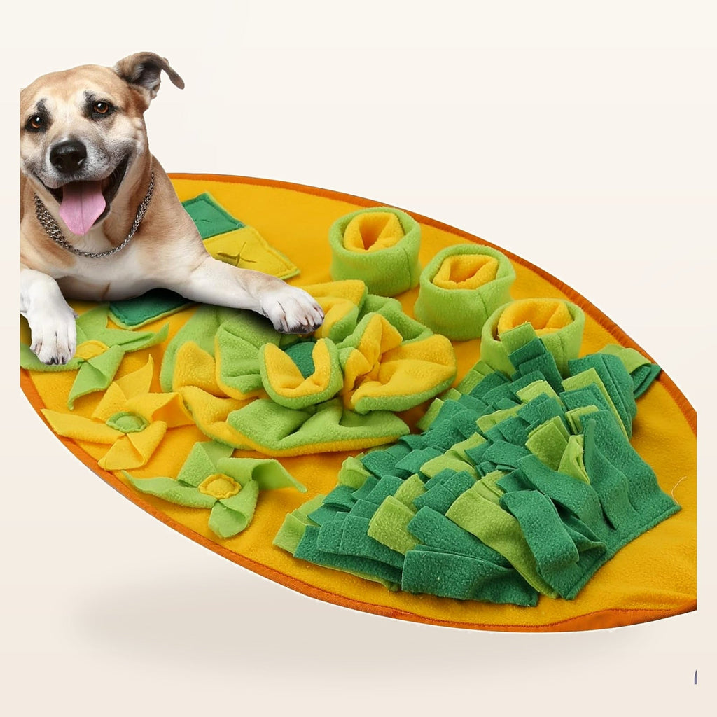 Dog resting on yellow and green snuffle mat